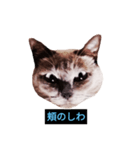 あなたはフリークですか？（個別スタンプ：23）
