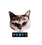 あなたはフリークですか？（個別スタンプ：25）