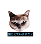 あなたはフリークですか？（個別スタンプ：27）