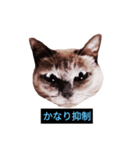 あなたはフリークですか？（個別スタンプ：28）
