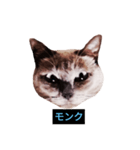 あなたはフリークですか？（個別スタンプ：29）