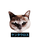 あなたはフリークですか？（個別スタンプ：30）