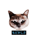 あなたはフリークですか？（個別スタンプ：32）