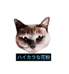 あなたはフリークですか？（個別スタンプ：33）