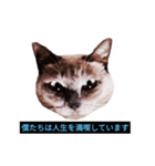 あなたはフリークですか？（個別スタンプ：35）