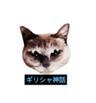 あなたはフリークですか？（個別スタンプ：36）