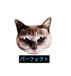 あなたはフリークですか？（個別スタンプ：38）
