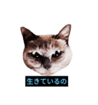 あなたはフリークですか？（個別スタンプ：40）