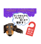 ミニチュアダックスの気ままなランチX'mas（個別スタンプ：3）