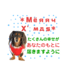 ミニチュアダックスの気ままなランチX'mas（個別スタンプ：5）