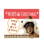 ミニチュアダックスの気ままなランチX'mas（個別スタンプ：7）