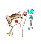 【猫塚堂】のあるじ猫 『まお』スタンプ（個別スタンプ：2）