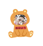 俺とハムスター（個別スタンプ：2）