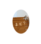 ジルの日常スタンプ（個別スタンプ：14）