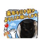 我が家の猫③（個別スタンプ：39）