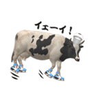牛の感情（個別スタンプ：6）