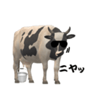 牛の感情（個別スタンプ：19）