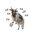 牛の感情（個別スタンプ：21）