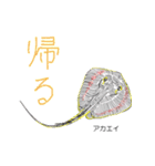 毒魚スタンプ1（個別スタンプ：3）