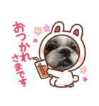 くぅちゃんスタンプその弐（個別スタンプ：5）