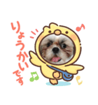 くぅちゃんスタンプその弐（個別スタンプ：6）