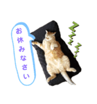 Ko-Tzy  Vol.1.2（個別スタンプ：2）