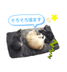 Ko-Tzy  Vol.1.2（個別スタンプ：3）