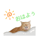 Ko-Tzy  Vol.1.2（個別スタンプ：5）