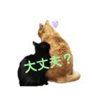 Ko-Tzy  Vol.1.2（個別スタンプ：8）