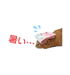 Ko-Tzy  Vol.1.2（個別スタンプ：9）