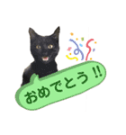 Ko-Tzy  Vol.1.2（個別スタンプ：16）