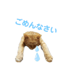 Ko-Tzy  Vol.1.2（個別スタンプ：19）