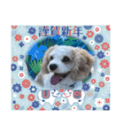 Happy Puppy ‘s Happy New Year（個別スタンプ：1）