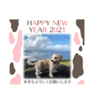 Happy Puppy ‘s Happy New Year（個別スタンプ：2）