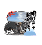 Happy Puppy ‘s Happy New Year（個別スタンプ：4）