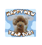 Happy Puppy ‘s Happy New Year（個別スタンプ：5）