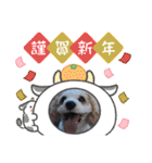 Happy Puppy ‘s Happy New Year（個別スタンプ：6）