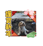 Happy Puppy ‘s Happy New Year（個別スタンプ：7）