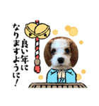 Happy Puppy ‘s Happy New Year（個別スタンプ：8）