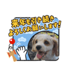 Happy Puppy ‘s Happy New Year（個別スタンプ：9）