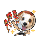 Happy Puppy ‘s Happy New Year（個別スタンプ：11）