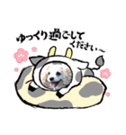 Happy Puppy ‘s Happy New Year（個別スタンプ：12）