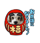 Happy Puppy ‘s Happy New Year（個別スタンプ：13）