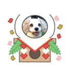 Happy Puppy ‘s Happy New Year（個別スタンプ：15）