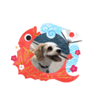 Happy Puppy ‘s Happy New Year（個別スタンプ：18）
