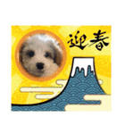 Happy Puppy ‘s Happy New Year（個別スタンプ：19）