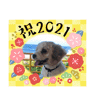 Happy Puppy ‘s Happy New Year（個別スタンプ：20）