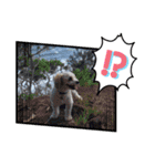 Happy Puppy ‘s Happy New Year（個別スタンプ：23）