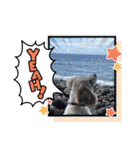 Happy Puppy ‘s Happy New Year（個別スタンプ：24）