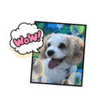 Happy Puppy ‘s Happy New Year（個別スタンプ：25）